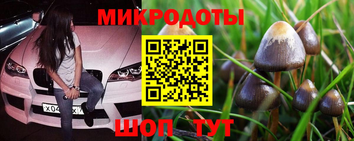 Псилоцибиновые грибы Psilocybe  Вход с VPN  Галлюциногенные грибы GOLDEN TEACHER  Александров 